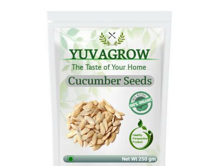 Yuvagrow Cucumber Seeds Online now