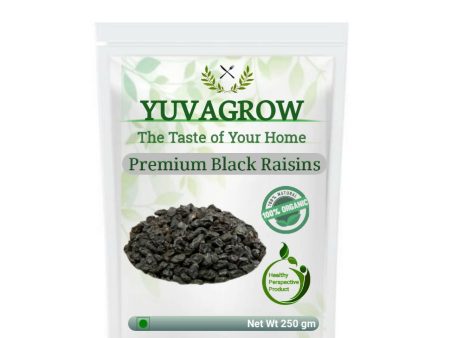 Yuvagrow Premium Black Raisins Online