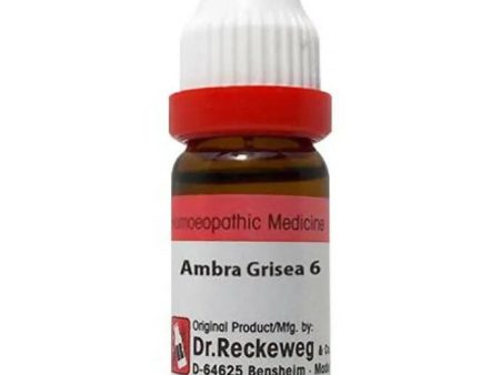 Dr. Reckeweg Ambra Grisea Dilution Online