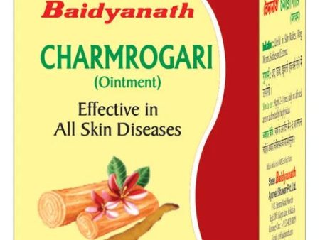 Baidyanath Charmrogari Ointment Hot on Sale