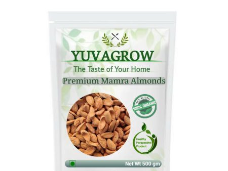 Yuvagrow Premium Mamra Almonds Sale