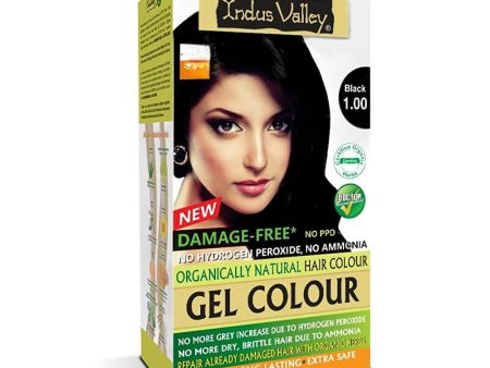 Indus Valley Damage-Free Gel Hair Color-Black Online Hot Sale