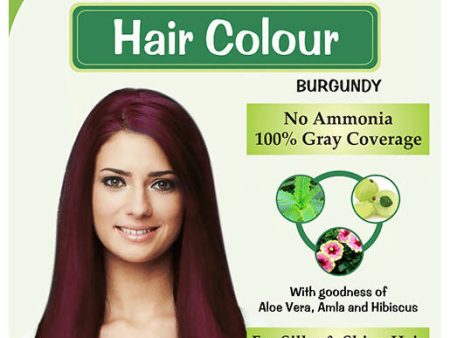 SBL Hair Colour Burgundy Hot on Sale