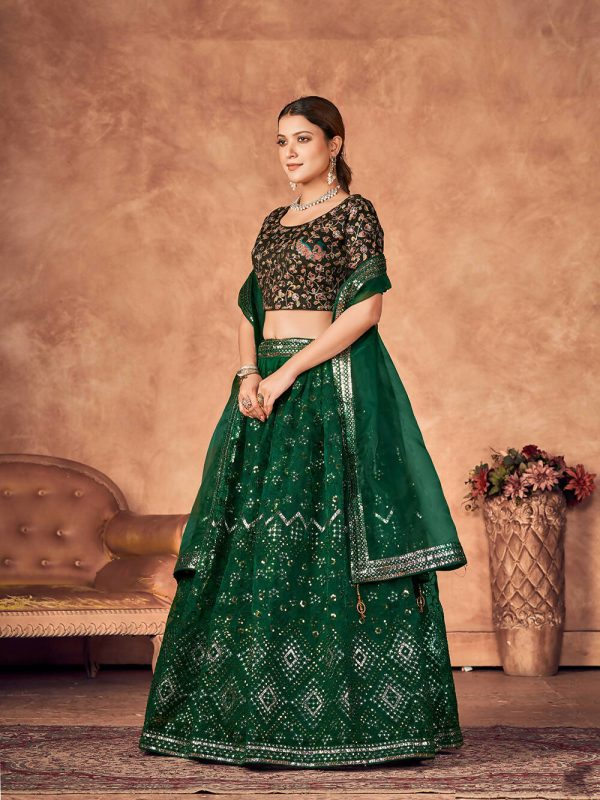 Wedding Designer Green Organzalehengha Choli - Anbazaar Online Hot Sale