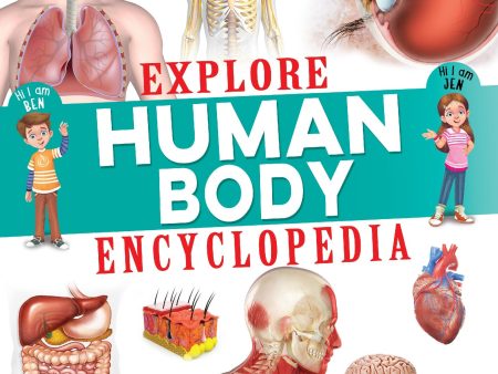 Dreamland Publications Explore Human Body Encyclopedia : Children s Reference Book Supply