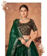 Wedding Designer Green Organzalehengha Choli - Anbazaar Online Hot Sale