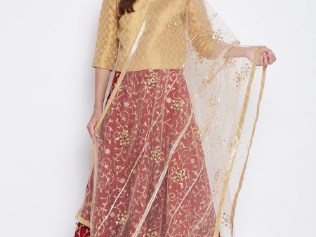 Wahe-NOOR Women s Golden Mirror Work Net Dupatta For Discount