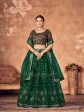 Wedding Designer Green Organzalehengha Choli - Anbazaar Online Hot Sale