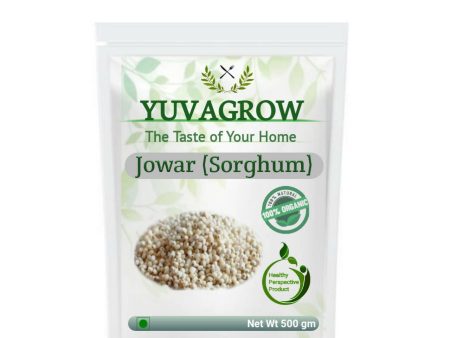 Yuvagrow Jowar (Sorghum) Online Hot Sale