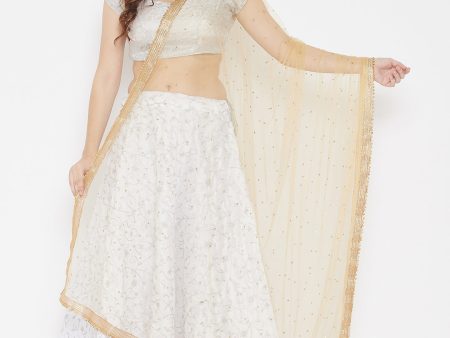 Wahe-NOOR Women s Beige Embellished Net Dupatta Cheap