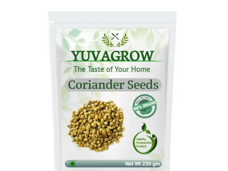 Yuvagrow Coriander Seeds Sale