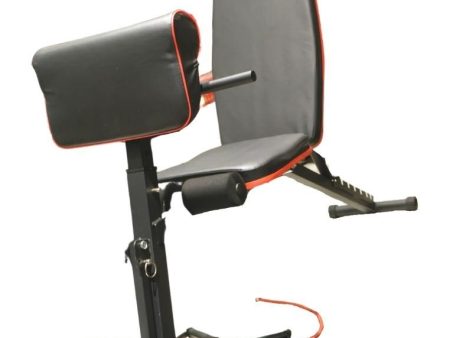 Avant Garde Adjustable Sit-Up Bench - Black For Discount